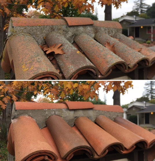 Roof Cleaning San Jose